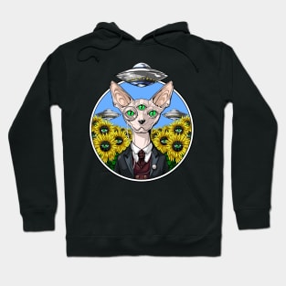 Sphynx Cat Alien Abduction Hoodie